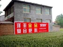 乐平如何让墙体广告展现最大化效果