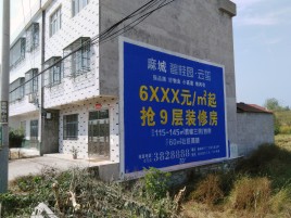 乐平墙体广告质量分析