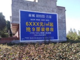 乐平品牌公司青睐的墙体广告