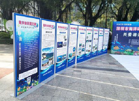 乐平KT板的种类和知识。